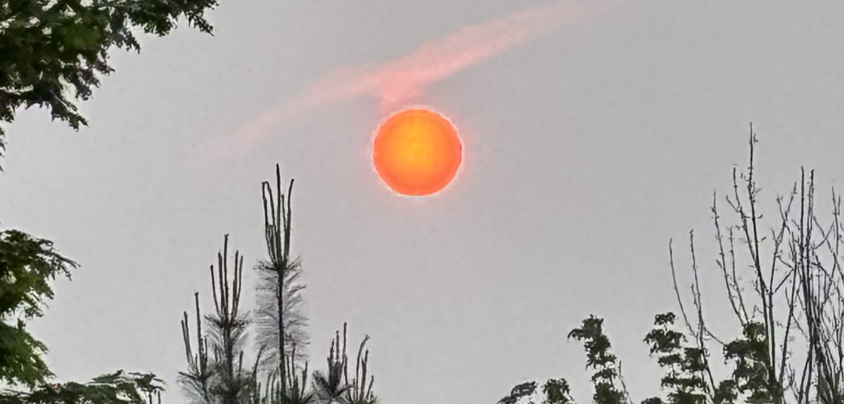 True Home Mindfulness Community